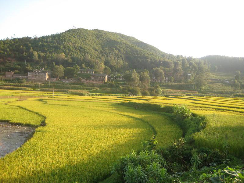  p>对门山村,是云南省楚雄彝族自治州双柏县法脿镇法脿村委会所辖自然