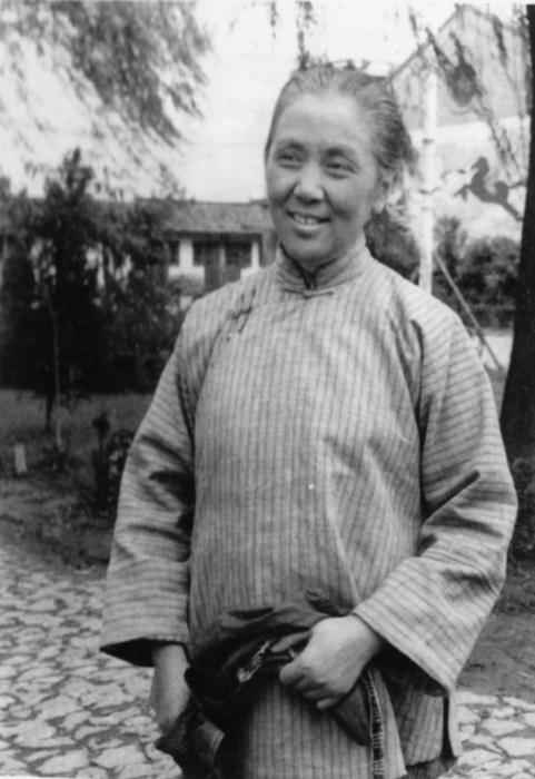 枯木逢春
