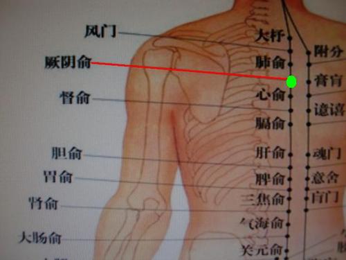 厥阴俞穴