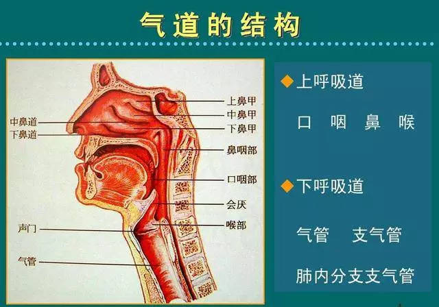 呼吸道受感染