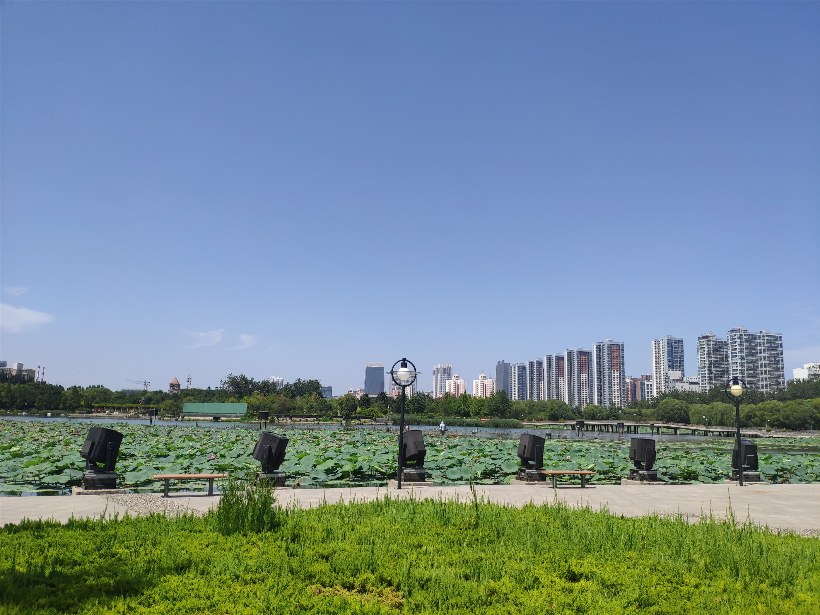 龙湖公园