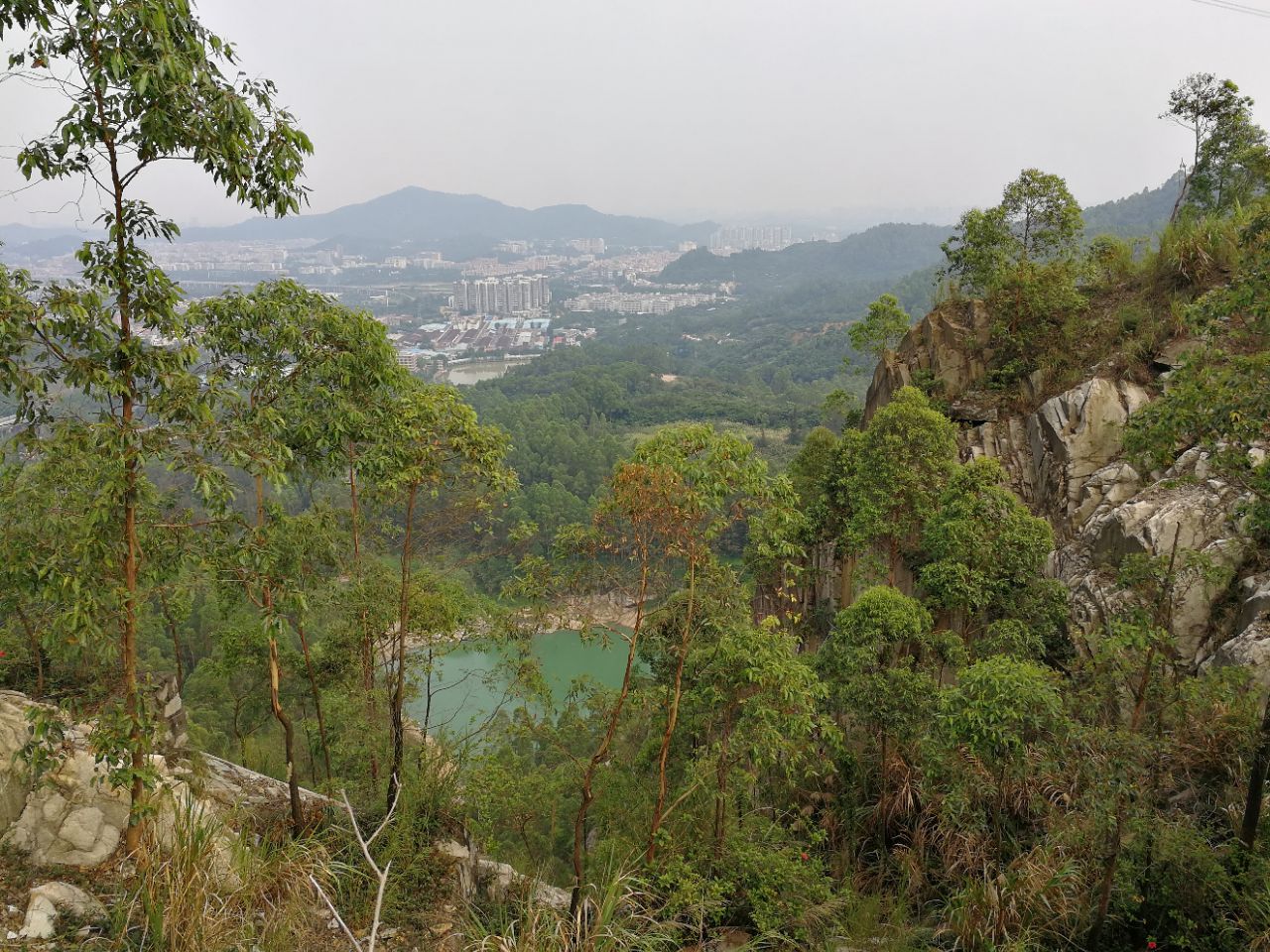 广州龙眼洞森林公园