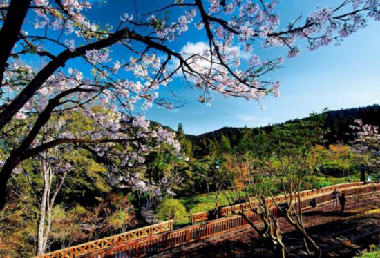 ̨ͼƬ羰_̨羰_̨ķ羰ʤ