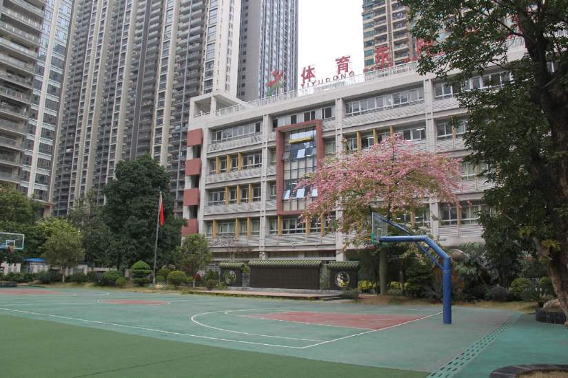 广州市体育东路小学