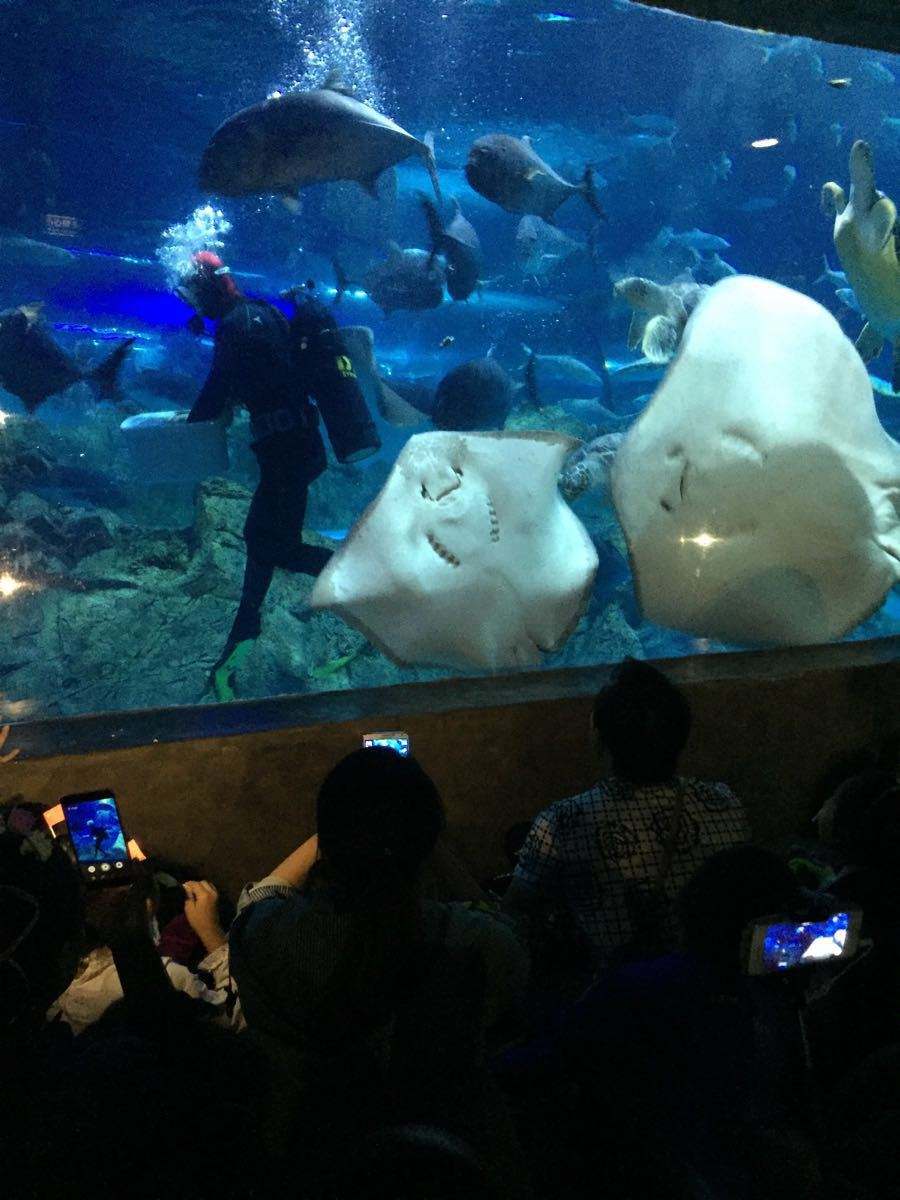南京海底世界