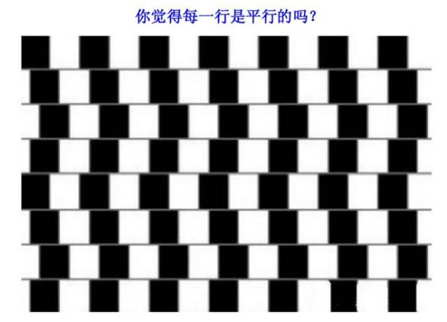 视觉训练