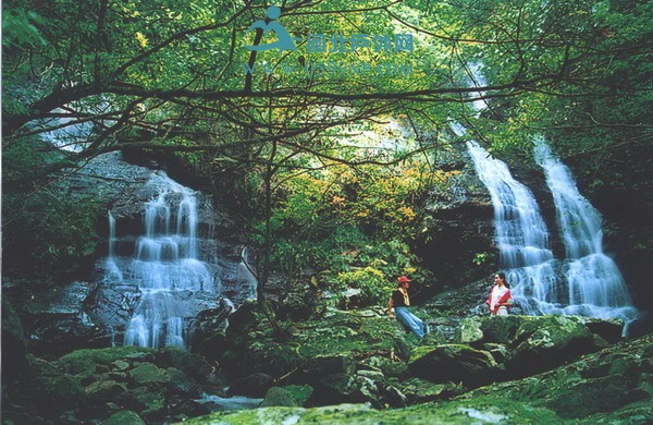 ̳԰Ʊ ȫ4aǰʮЩаϸƼ