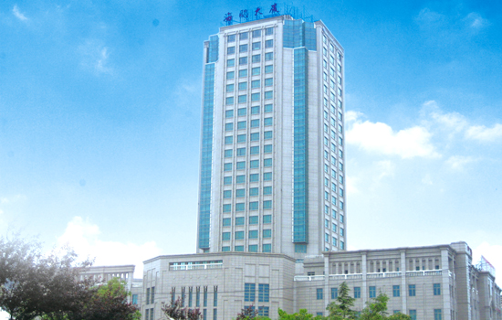 上海南部杭州湾畔,近a4高速公路,320国道,交通便利,酒店毗邻金沙碧海