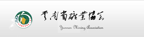 铜陵有色矿山 金属_铜陵矿山爆炸事件_铜陵矿山招标广告