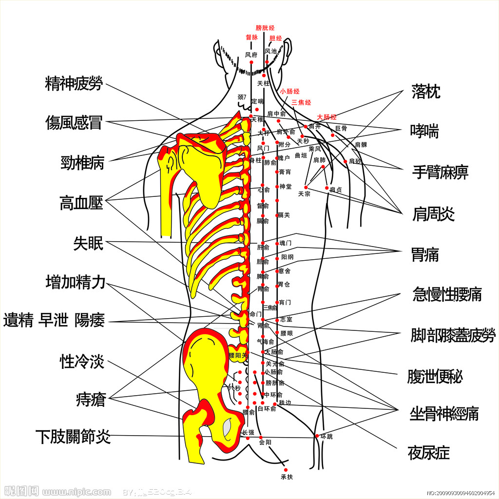 p>针灸是中国传统医学宝库中的一支奇葩,在调理肥胖中也能发挥重要的