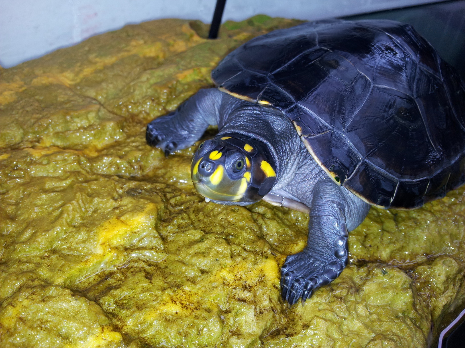 ߱˵ʲô_Ŵ߹Ľӡ캵ʱ_Ϻ԰ô