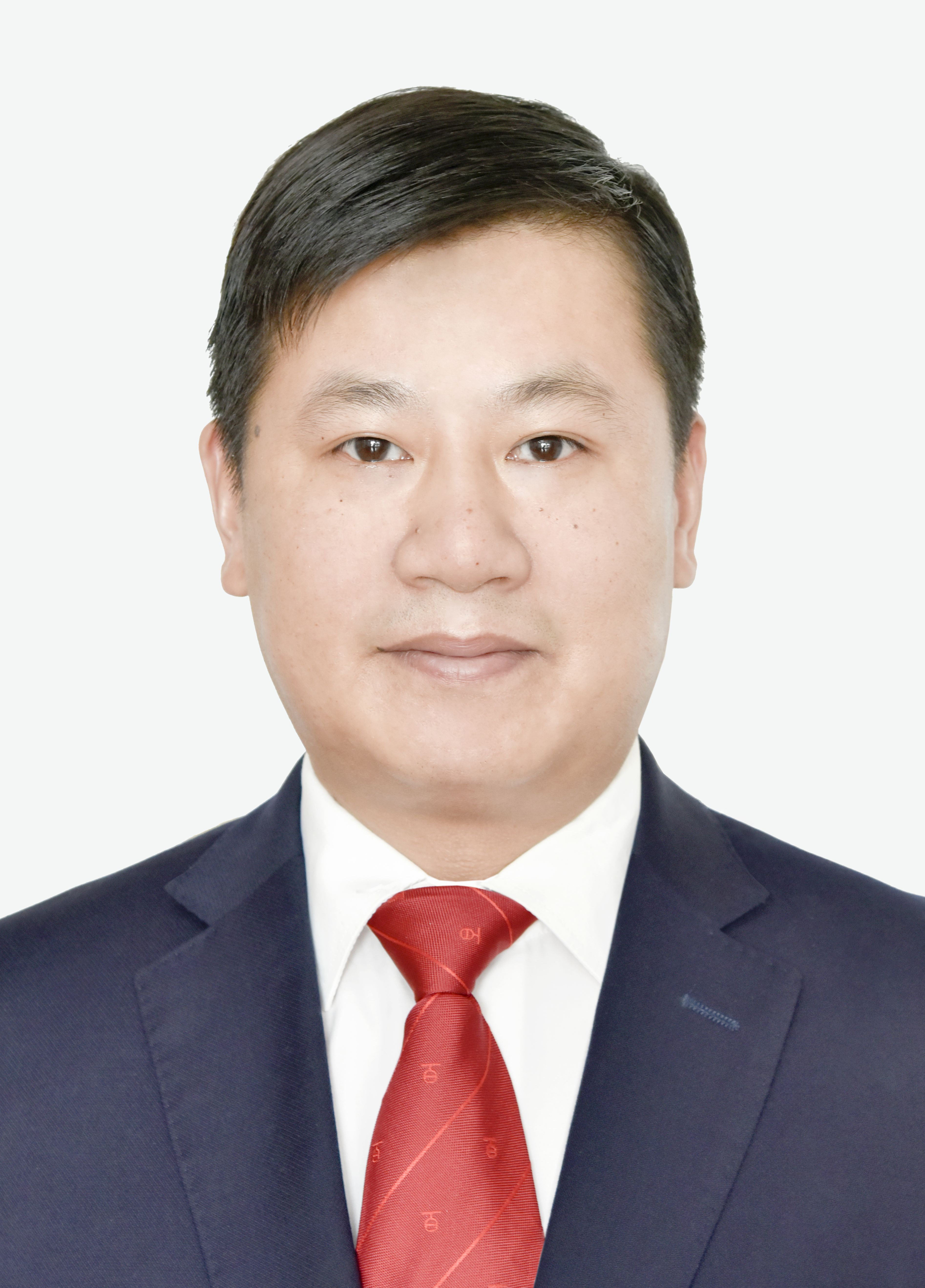  /p> p>现任安徽省芜湖市湾沚区委副书记,区政府党组书记,区长. /p>