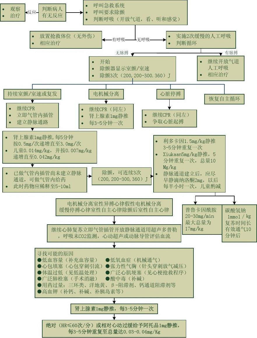 心跳呼吸骤停