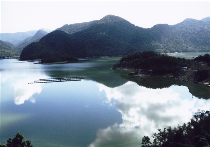 吊罗山森林公园