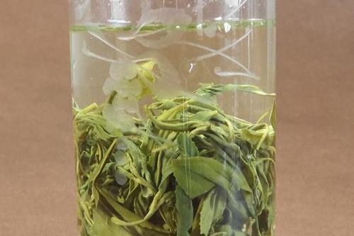 雪青茶