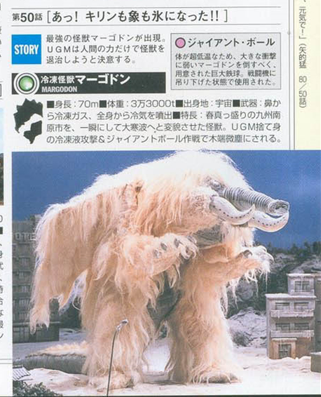 玛格顿