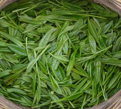 ɽëëԱ_ɽëݷ_ë̲ݷ