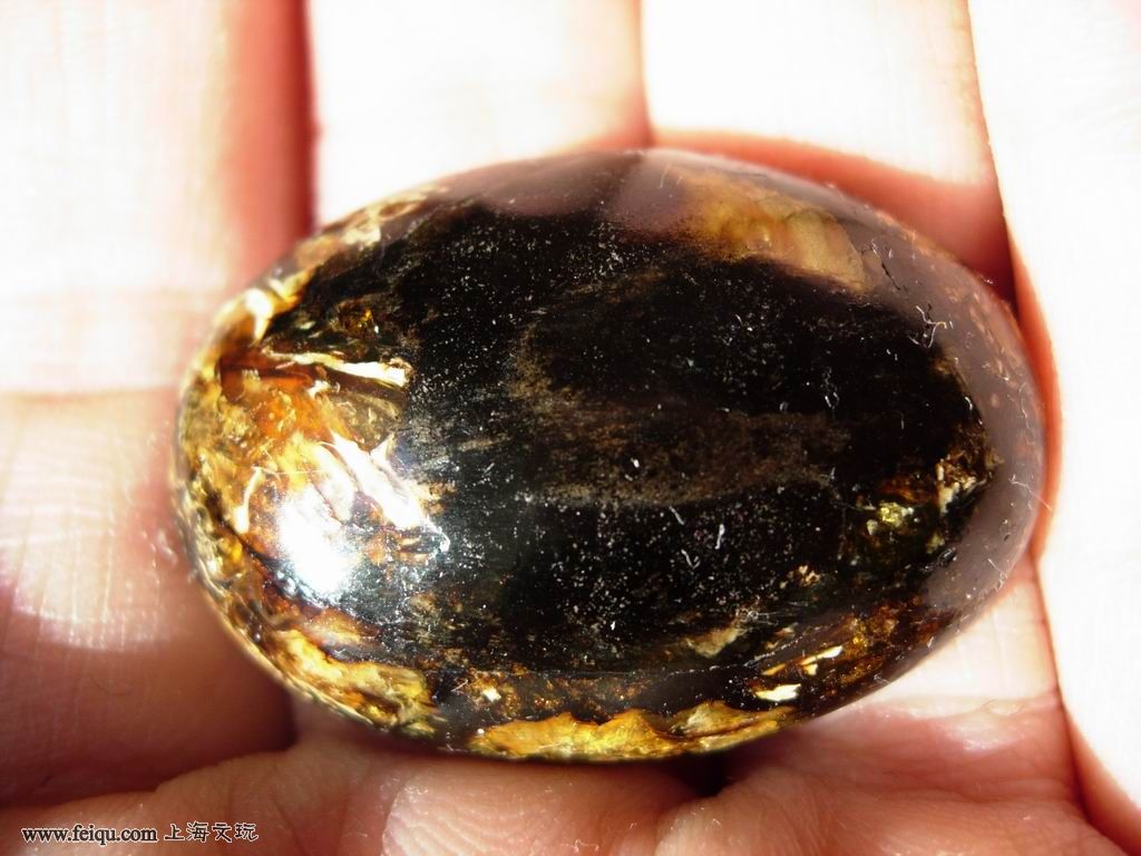 琥珀主要产于新生代早期第三纪含琥珀的煤层中,与煤精伴生.