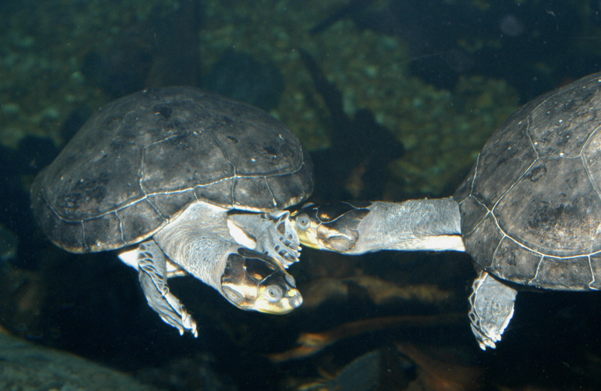 ߱˵ʲô_Ϻ԰ô_Ŵ߹Ľӡ캵ʱ