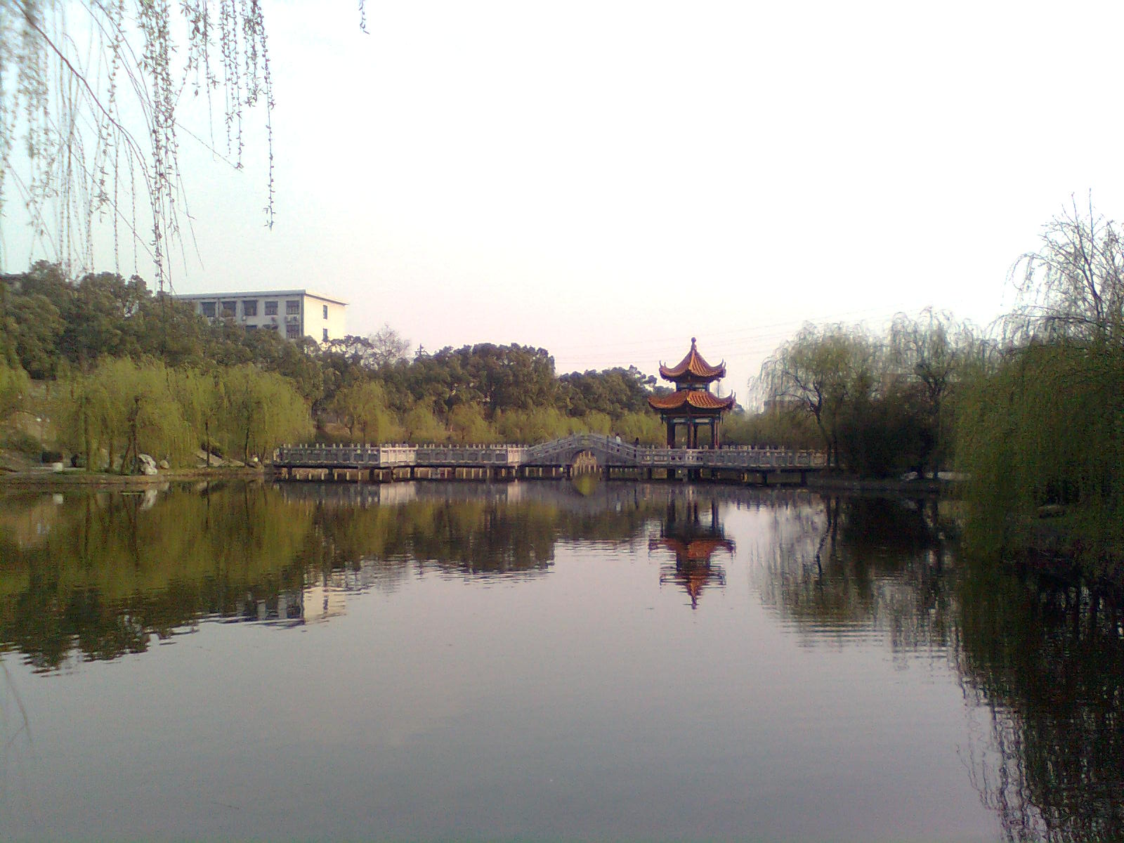 兴湘学院 全网资源