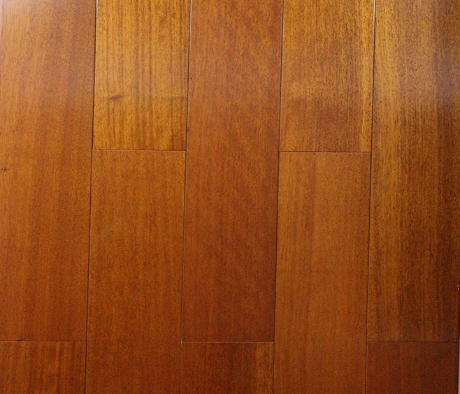 非洲金檀