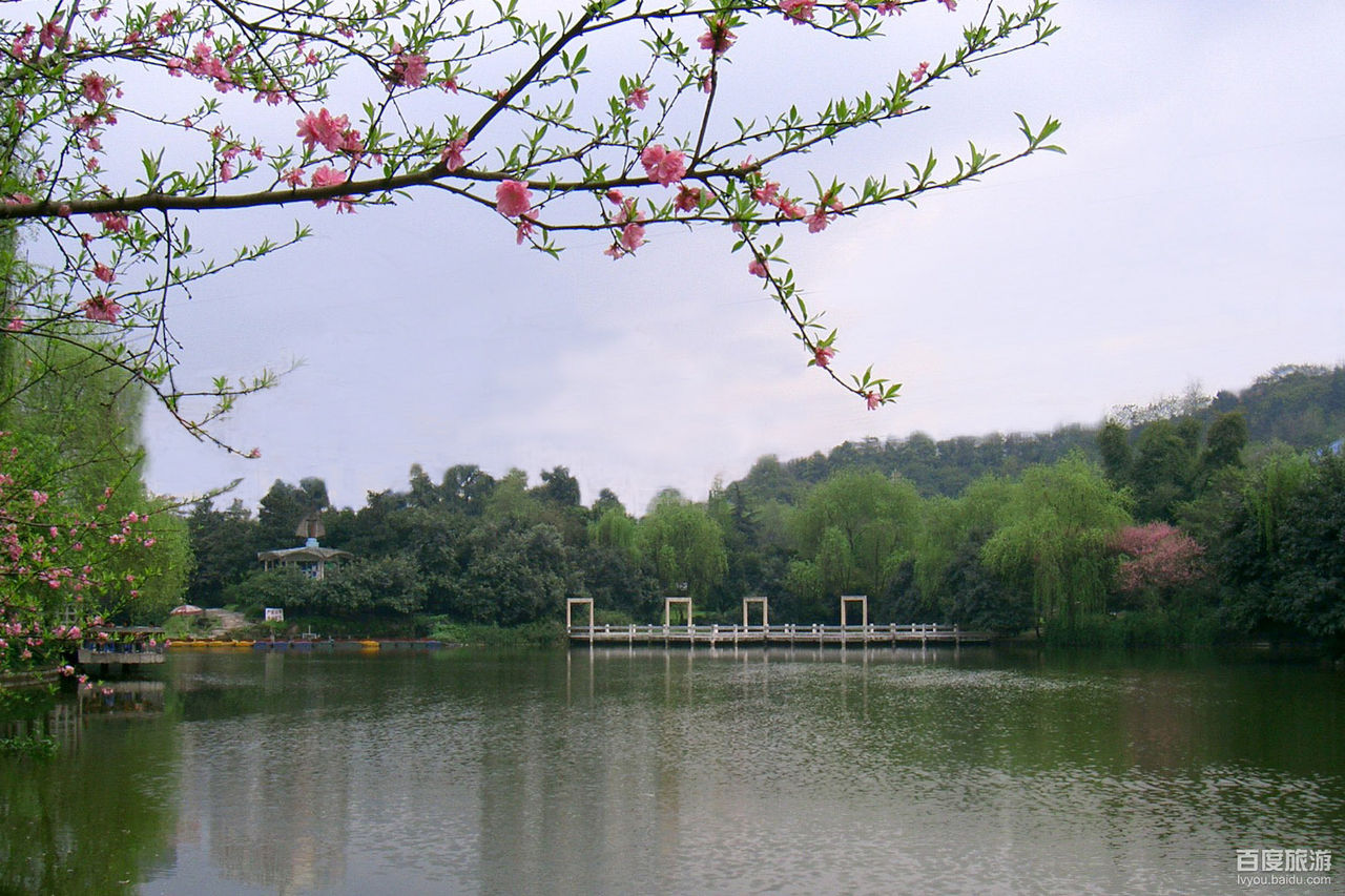 重庆市花卉园