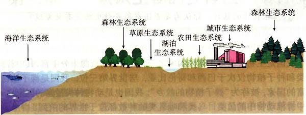 陆生生态系统