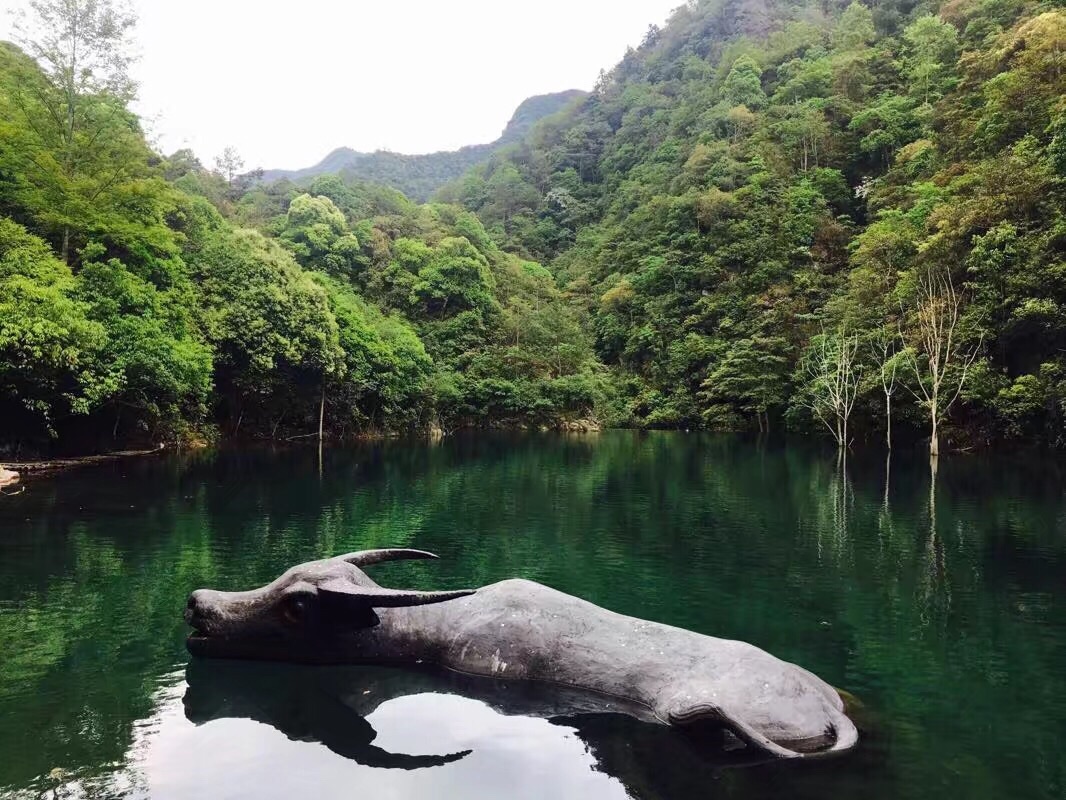  p>牛头山森林公园地处 a href="#" data-lemmaid="3032975">湖北省