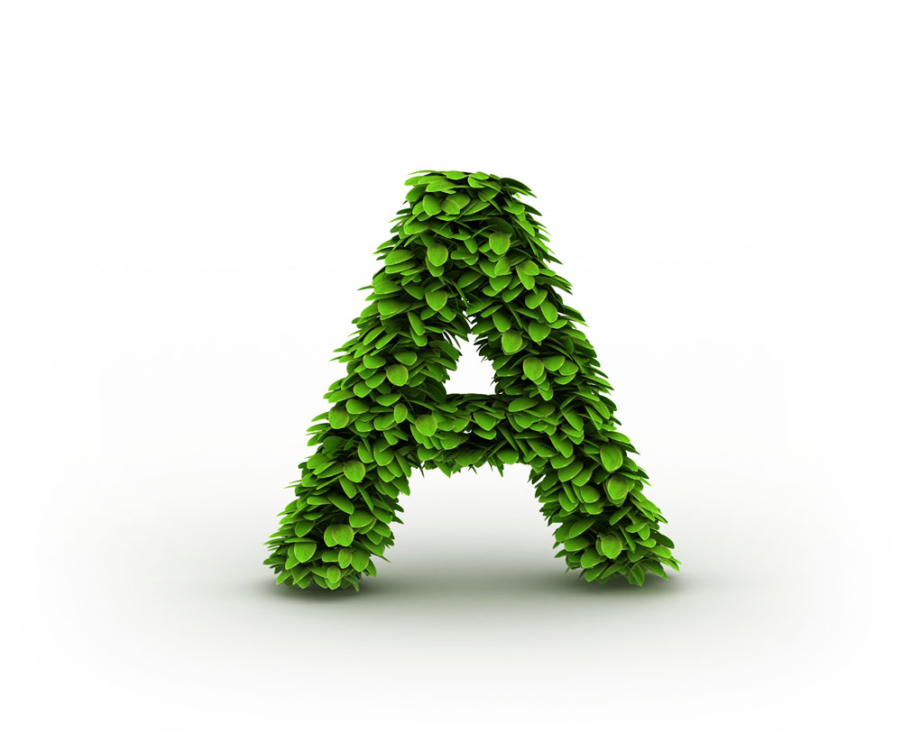  p></p></a>a(大写),a(小写)是 a target=