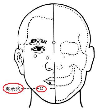  p>夹承浆穴是人体的穴位,在面部 a>承浆 /a>穴外侧约1寸之凹 a>陷中 