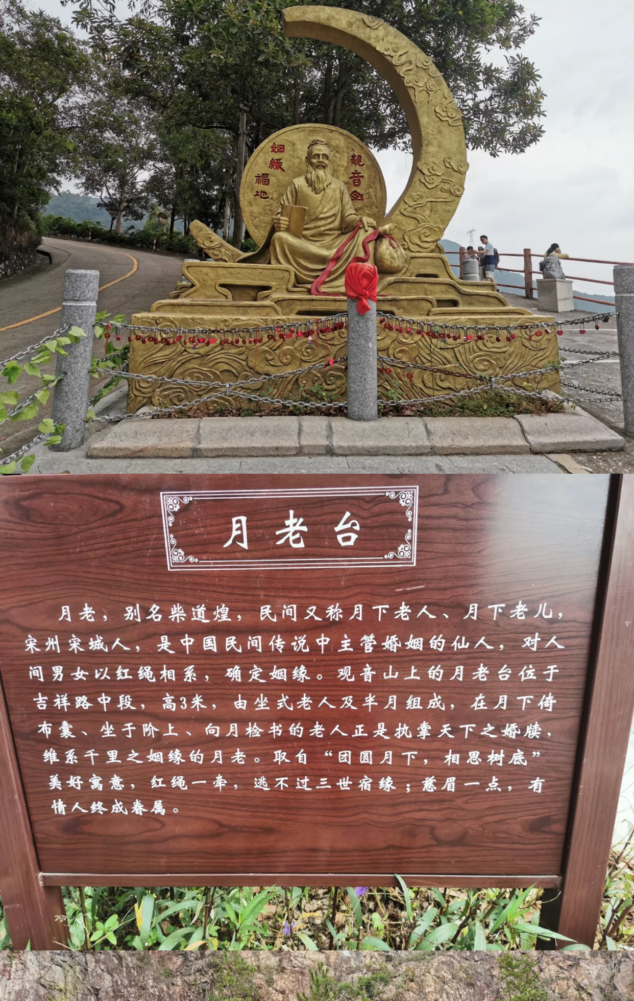 p>月老(yuè lǎo,别名 a target"_blank href/item/柴道煌