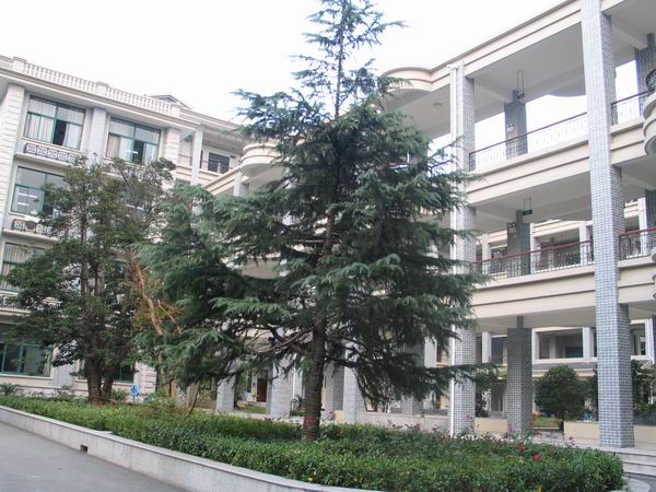 p>松江二中初级中学是一所公办初中,位于松江中心城区东首,毗邻百年