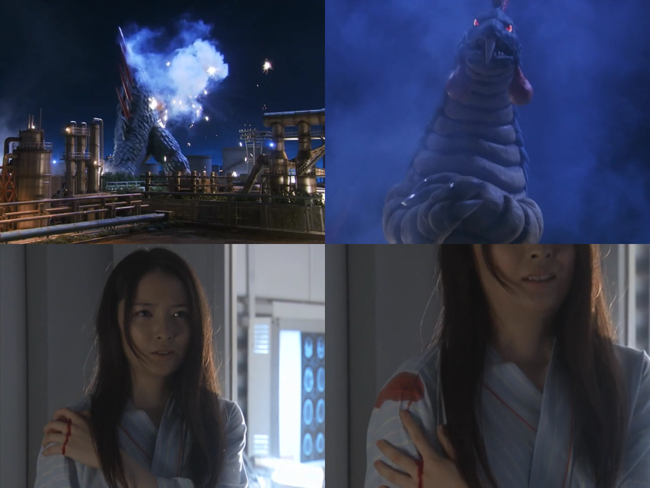 弗米格