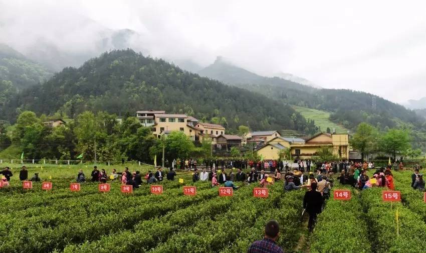 data-lemmaid="15626925">四川省 /a>广元市青川县, 地处 a target="