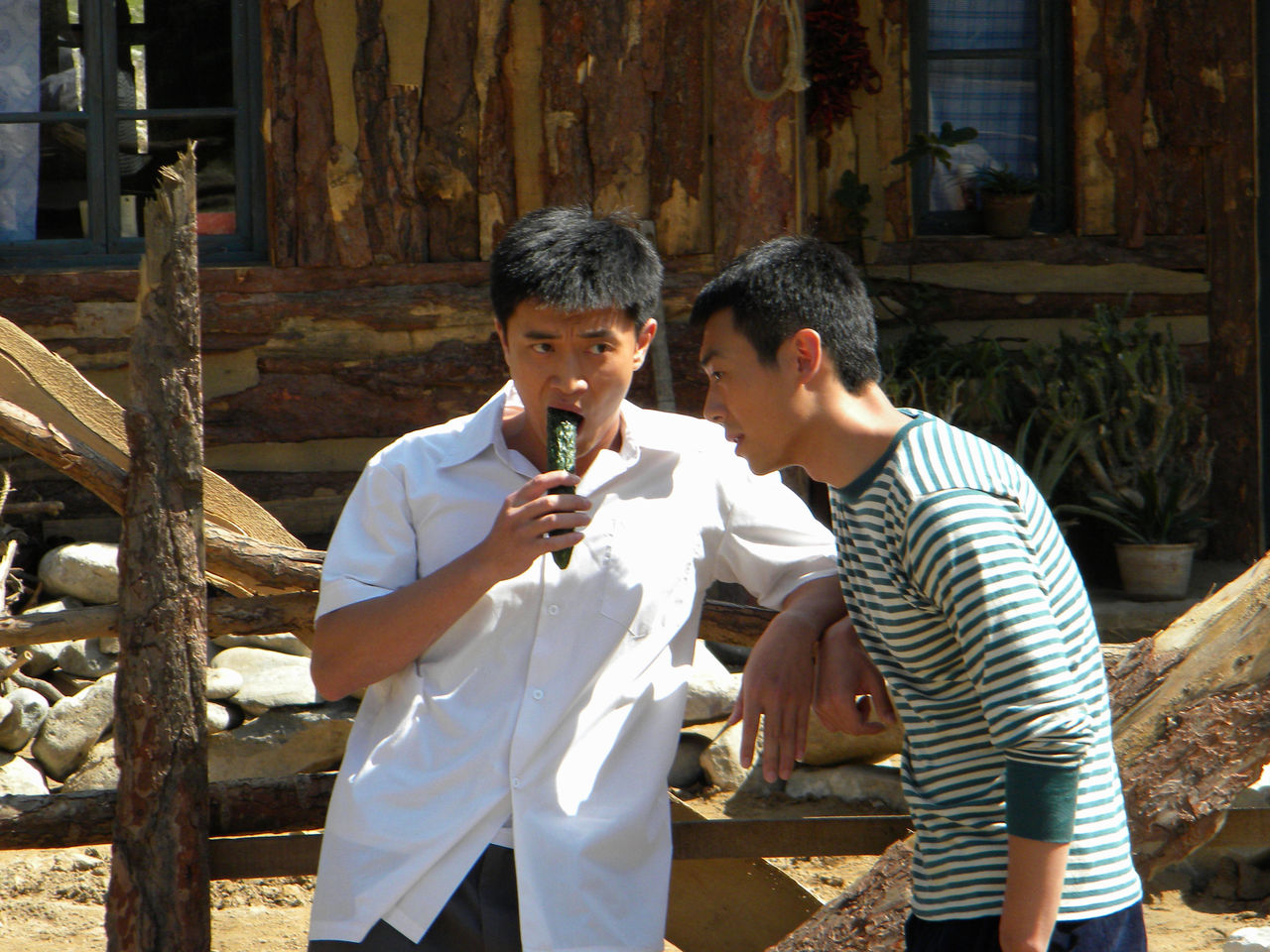 爱在苍茫大地 全网资源