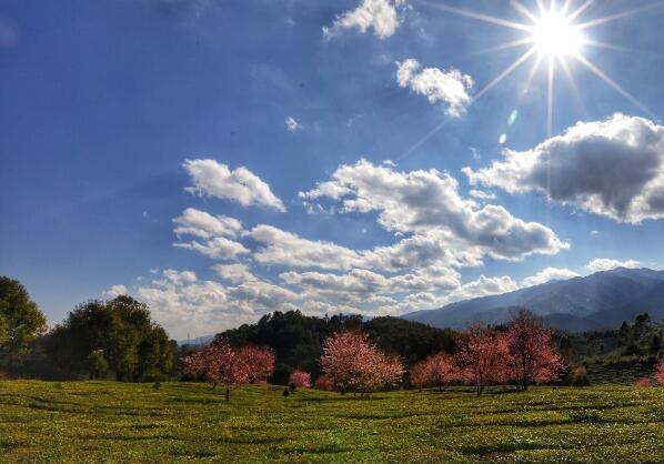 哀牢山顶天气预报_(玉溪哀牢山风景区天气预报)