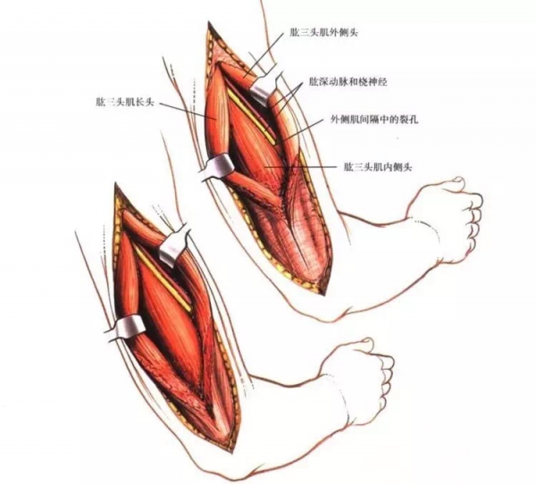 href="#" data-lemmaid="687882">b超 /a>(或彩超)给孕妇作孕期检查时