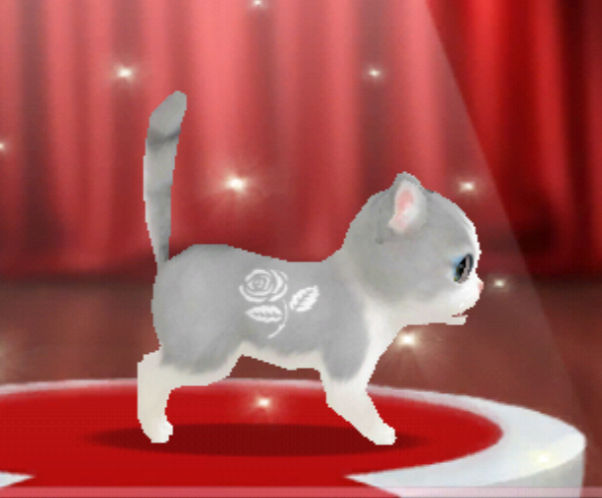 不同性格的猫咪供玩家选择,白色安哥拉猫,布偶猫, a href="#" data