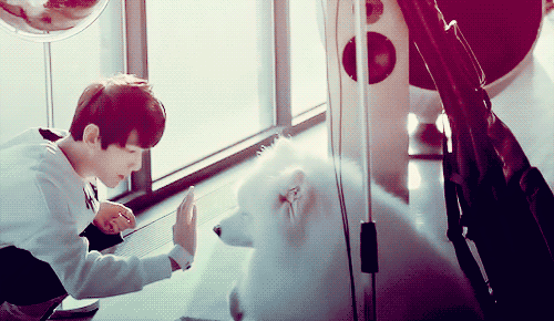  p></p></a>边伯贤,艺名baek hyun,1992年5月6日生于韩国京畿道富川市,韩国男