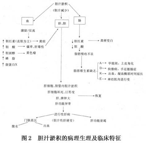 85%的病例可通过