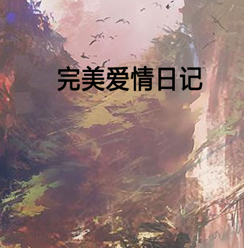 完美爱情日记