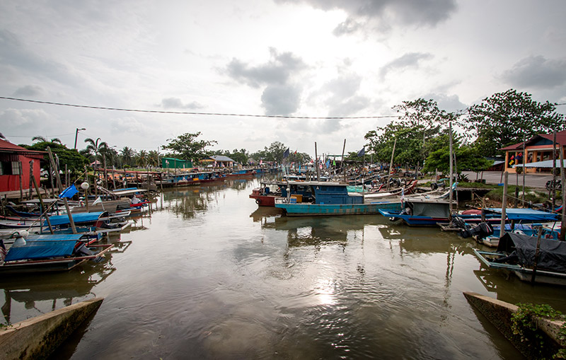新山枫(新山枫叫什么)