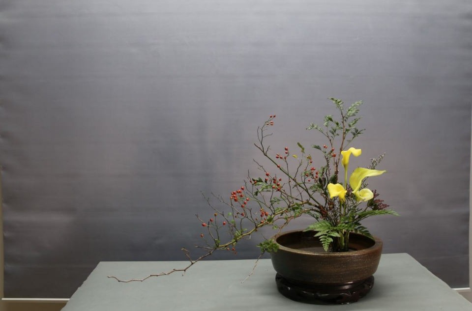 盘花