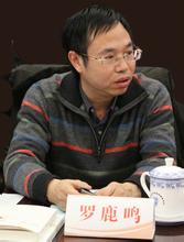 罗鹿鸣