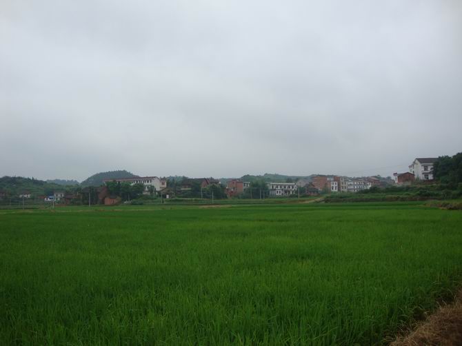 p>光明村,隶属湖南省攸县新市镇,地处新市镇西南边,距新市镇政府所在