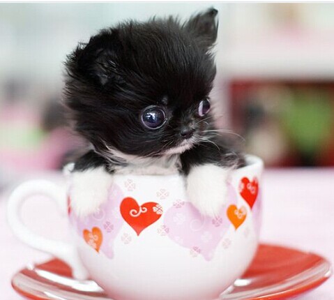 豭ȮҪǮ_ڹ豭Ȯ_豭ȮǮ