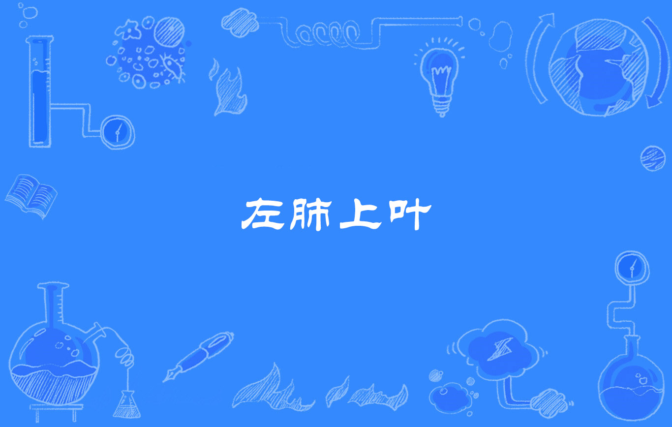 左肺上叶
