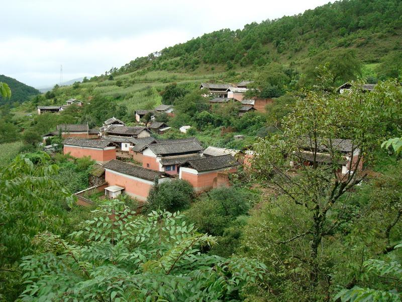 p>新村村位于云南省楚雄武定县狮山镇,属于山区.距离村委会29.