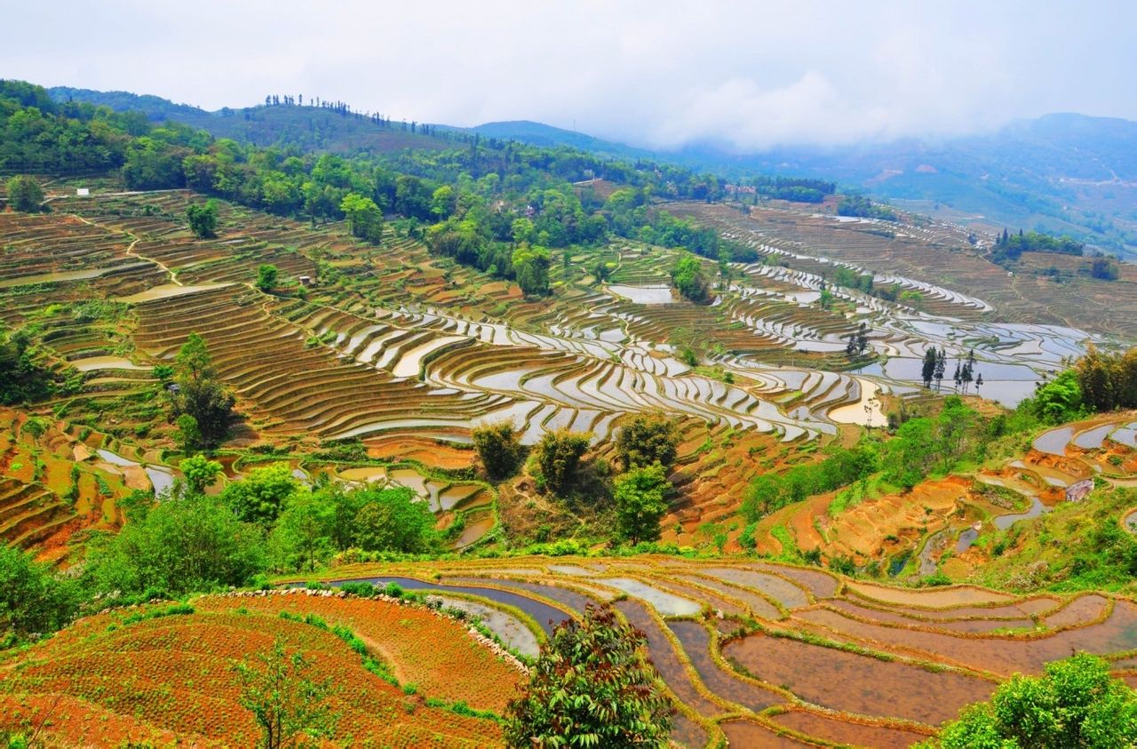 哈尼梯田 全网资源