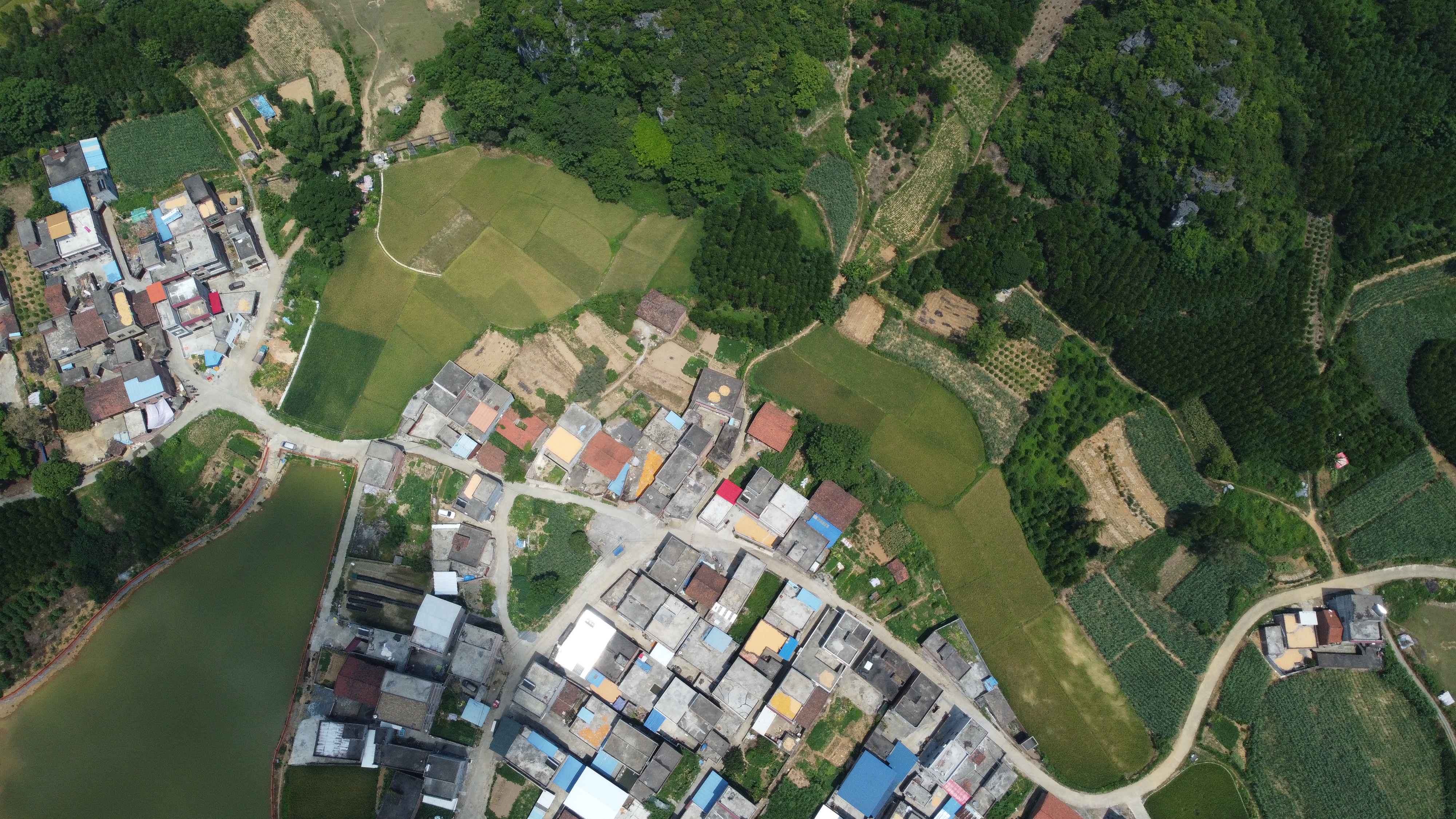 毛塘村